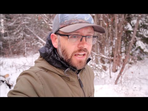 An update from my off-grid homestead project