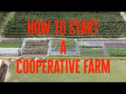 How to start a cooperative farm