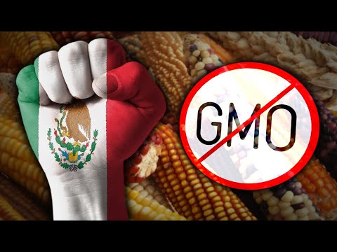 Mexico Says No to GMOs – #NewWorldNextWeek