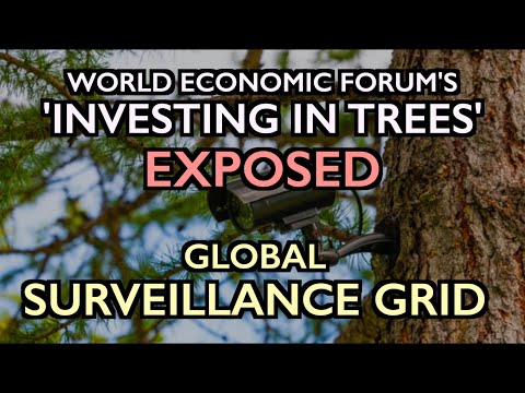 WEF’s “Invest in Forests” Exposed: Global Surveillance Grid