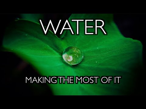 Water: Making the Most of It – Growing in the Mega Drought