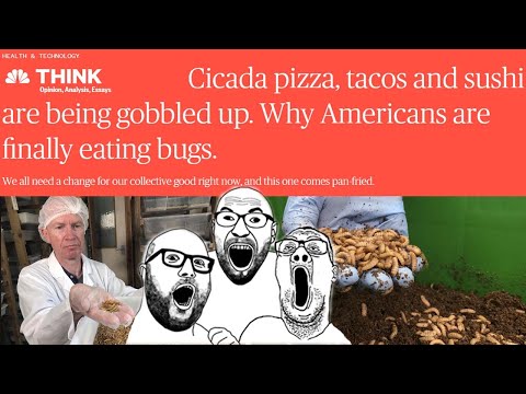 “Americans are FINALLY eating bugs” | Vegans claim SOY doesn’t effeminize men