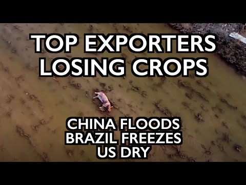 China Floods, Brazil Freezes, US Dry – Top Exporters Lose Crops as Grains Crisis Accelerates