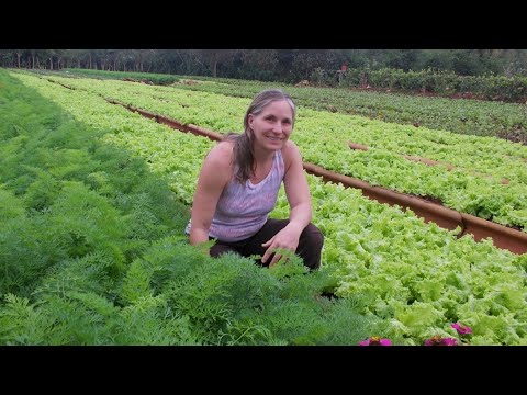 Buy Land, Build Community, and Grow Food w/ Marjory Wildcraft