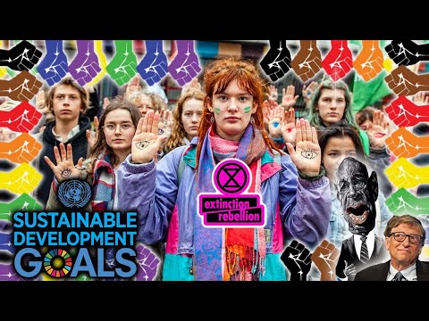 Climate Change & Animal Rights Activists: How to Be Us3ful Id!0ts | Cringefest Watch Party