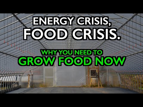 Energy Crisis becomes a Food Crisis – Grow Food and Build Local Food Systems Now!