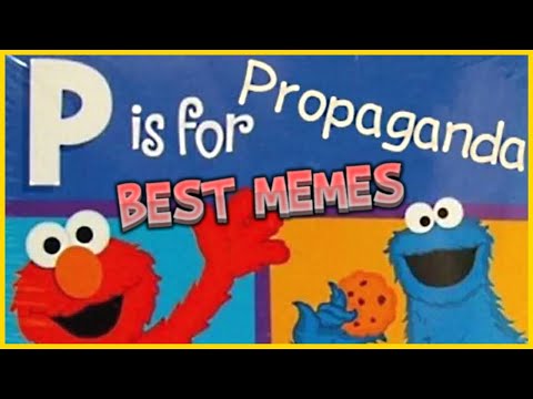 M is for MEMES