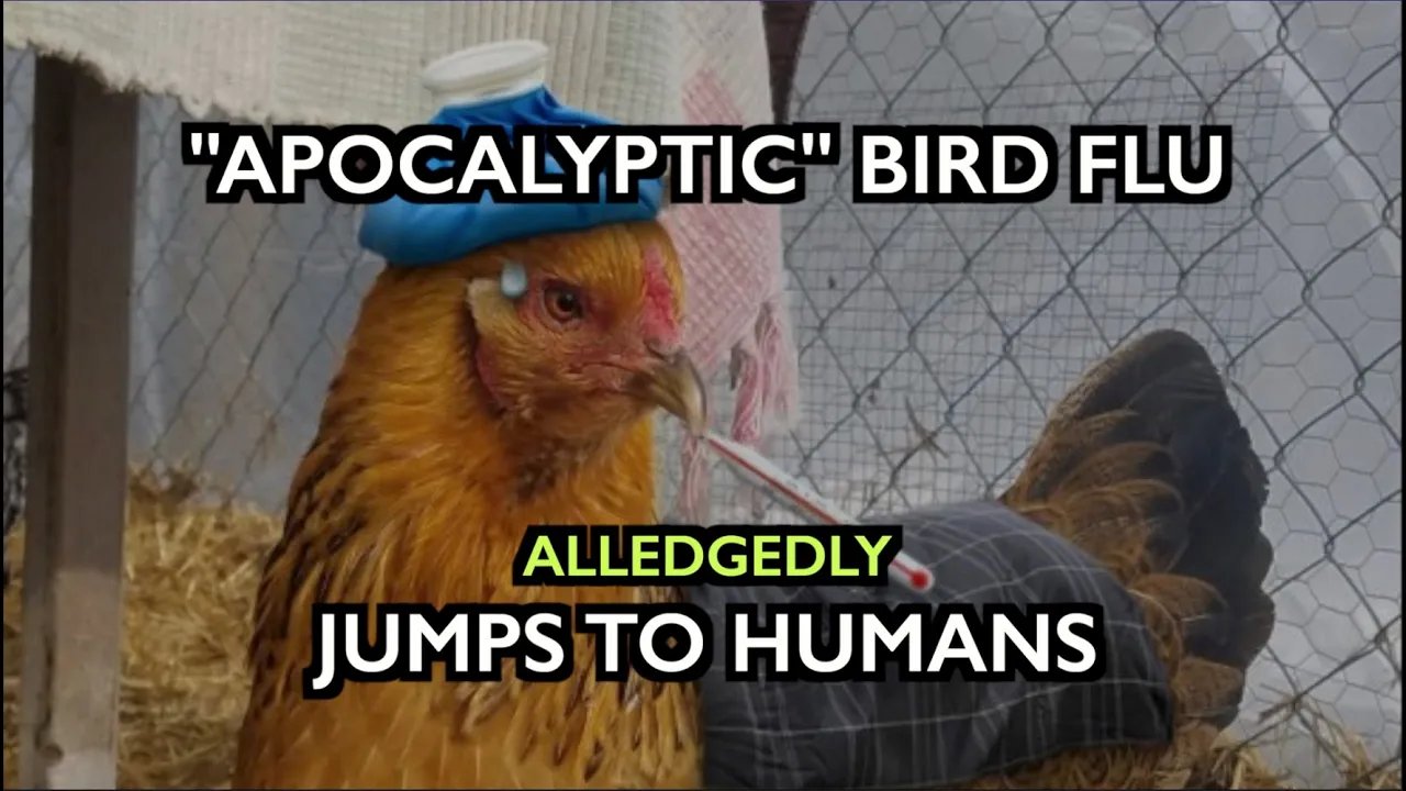 UK: “Apocalyptic Bird Flu” Jumps to Humans as Authorities Cull Millions of Birds 2022-01-07 13:35