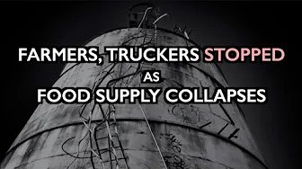 Farmers, Truckers STOPPED as Food Supply Collapses