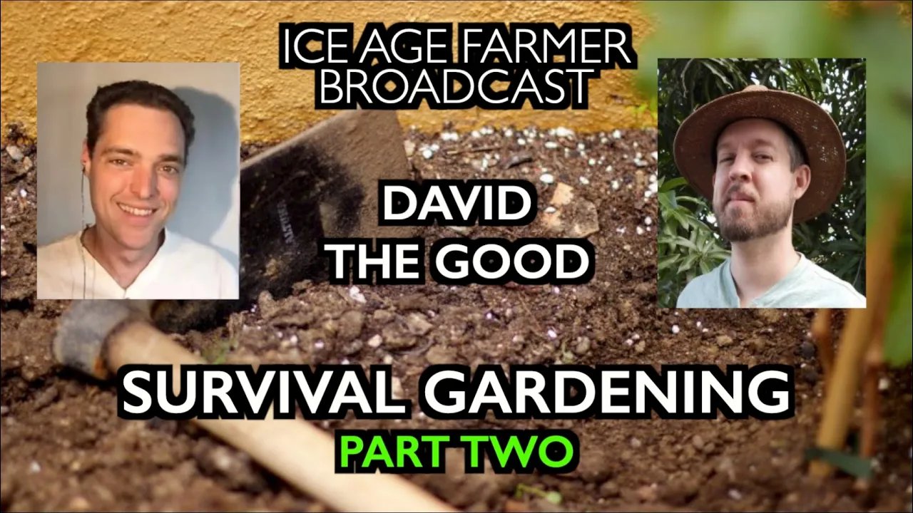 David the Good: Survival Gardening – without a Supply Chain! (part two)