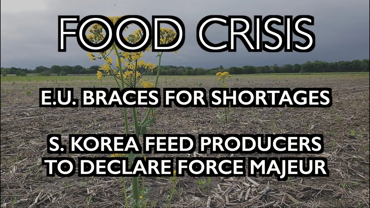 FOOD CRISIS: EU expects shortages, S. Korea feed producers to declare Force Majeur