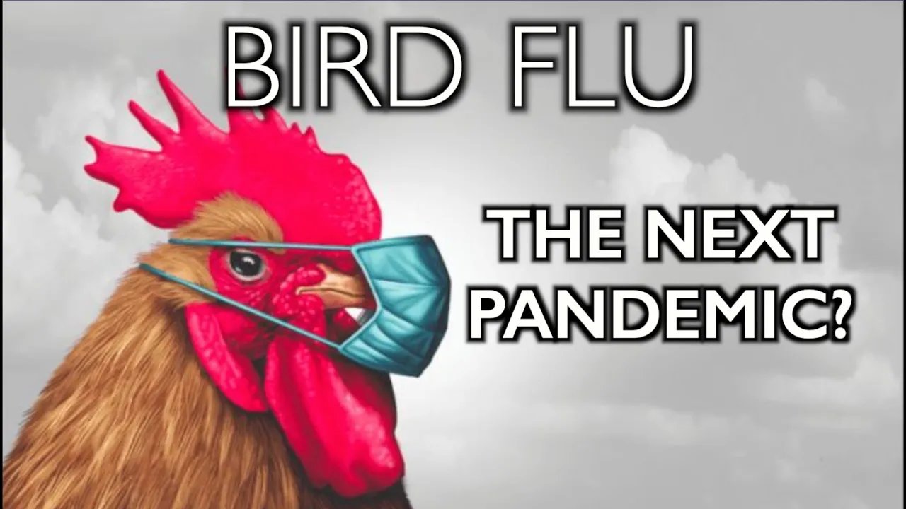 BIRD FLU: the Next Pandemic?