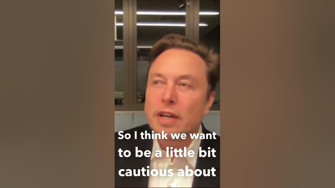 Elon Musk: We Want To Avoid World Government